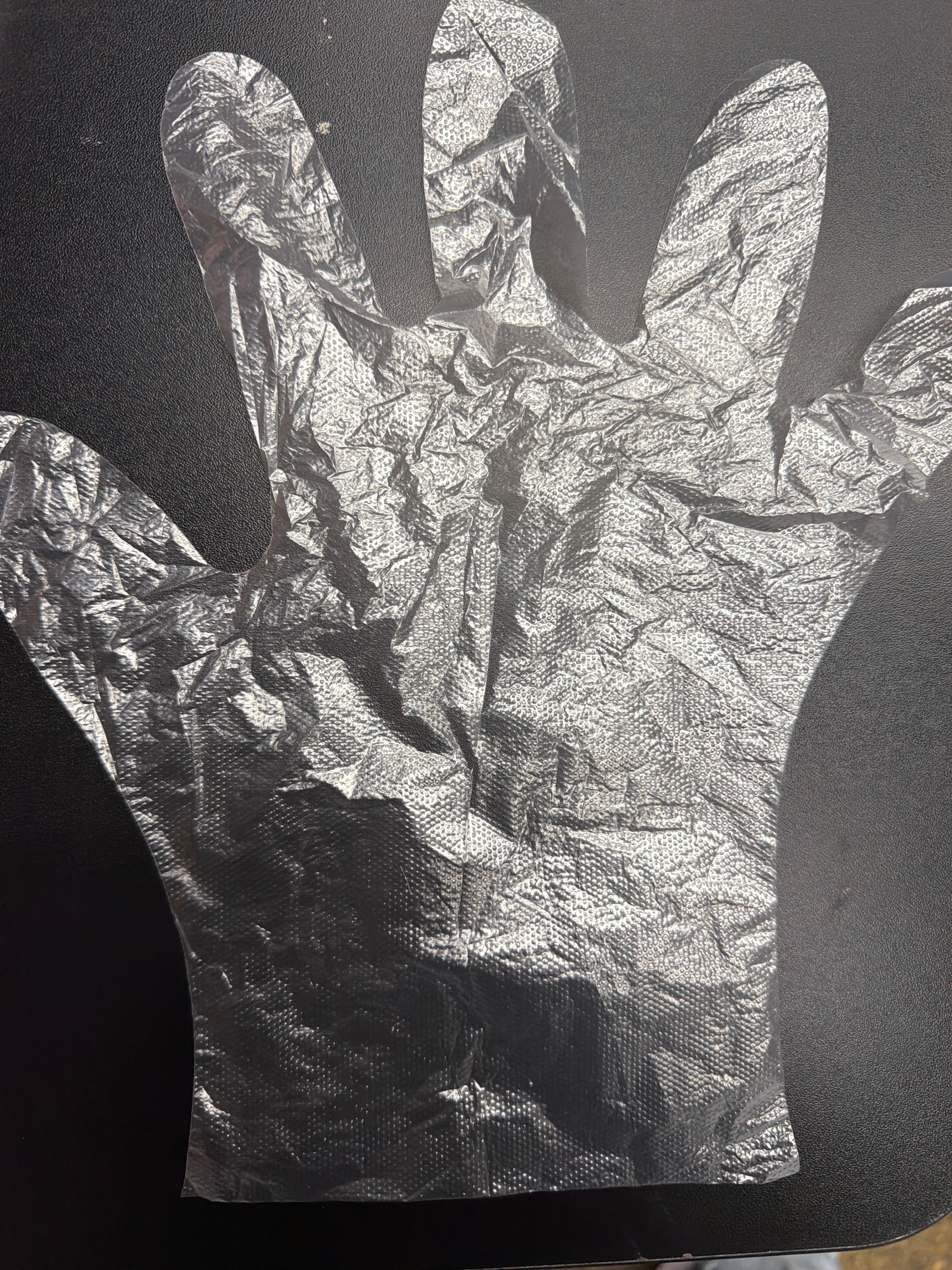 Disposable Poly Gloves  (1000)